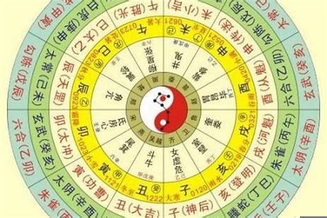 四柱|四柱八字排盘